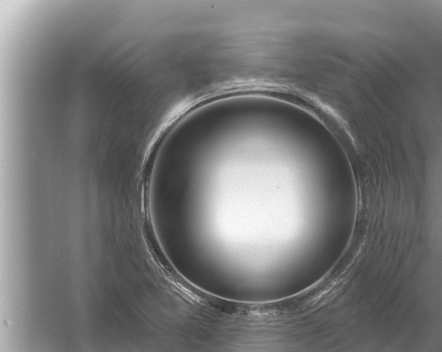 X0000058121365200510071928