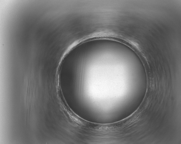 X0000058121366200510071928