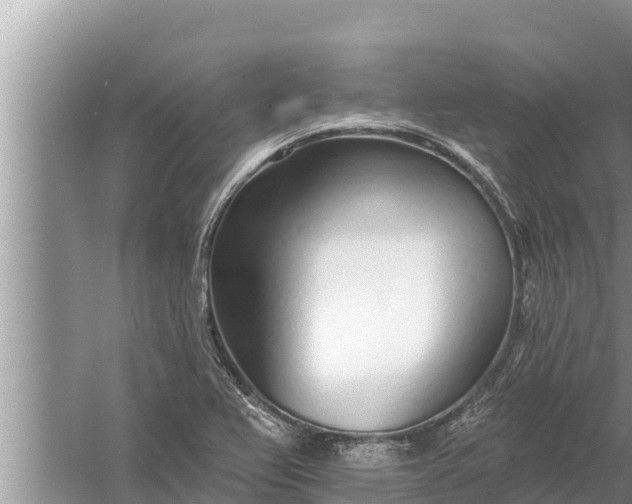 X0000058121367200510071928