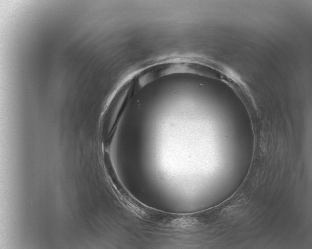 X0000058121368200510071928