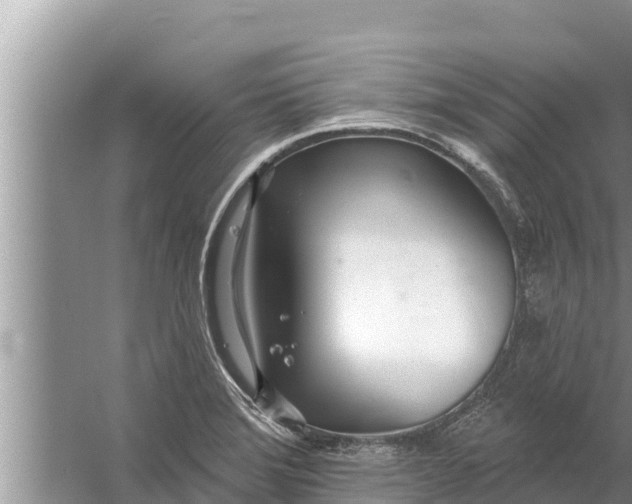 X0000058121372200510071928