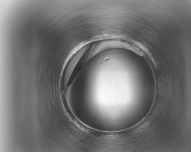 X0000058121373200510071928