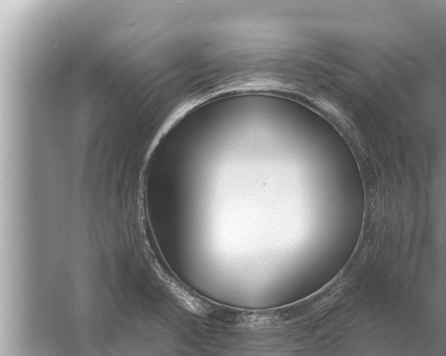 X0000058121374200510071928