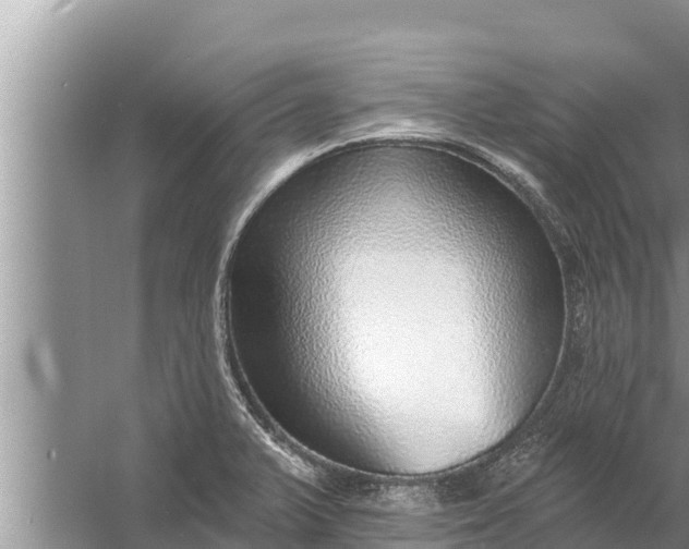 X0000058121375200510071928