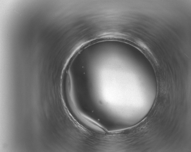 X0000058121376200510071928