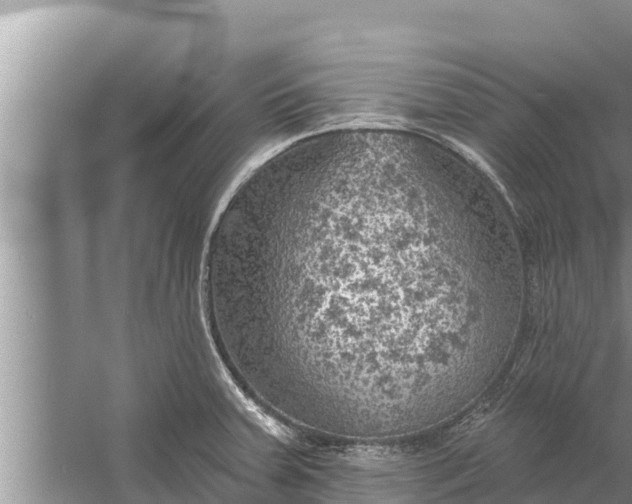 X0000058121379200510071928