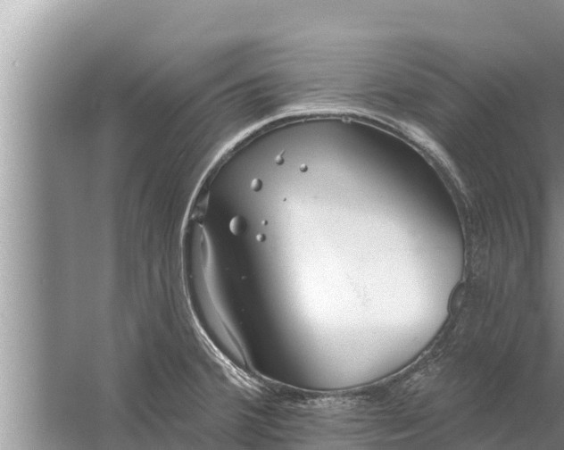 X0000058121380200510071928