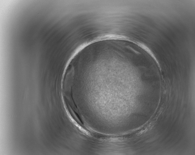 X0000058121381200510071928