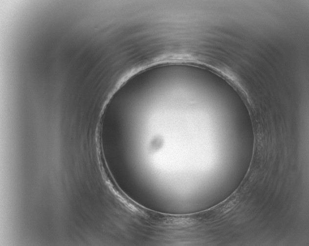 X0000058121382200510071928