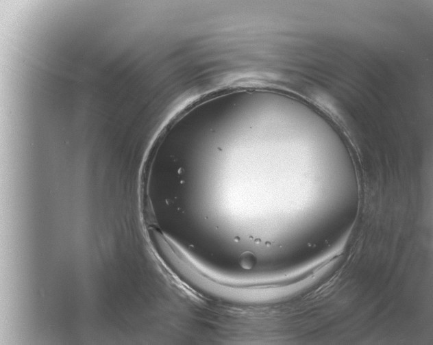 X0000058121384200510071928