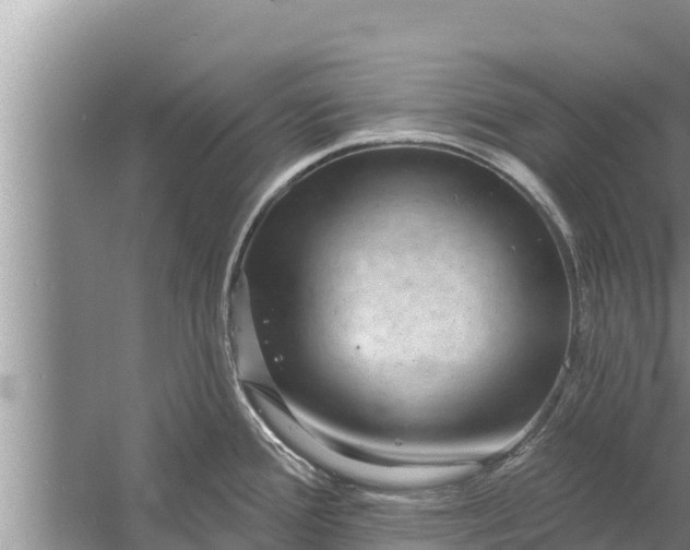 X0000058121388200510071928