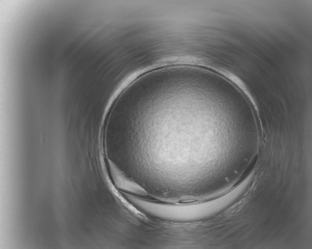 X0000058121389200510071928