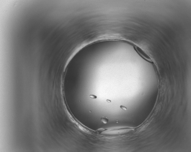 X0000058121390200510071928