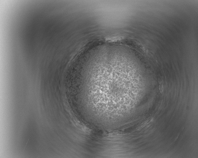 X0000058121393200510071927