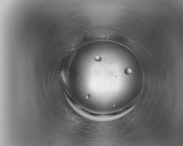 X0000058121394200510071927