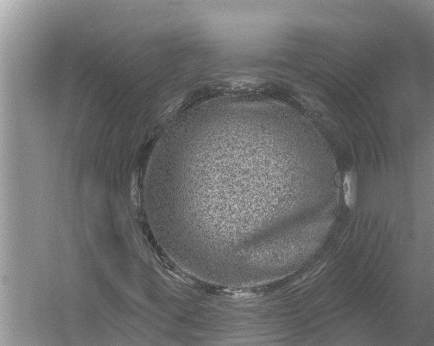 X0000058121395200510071927