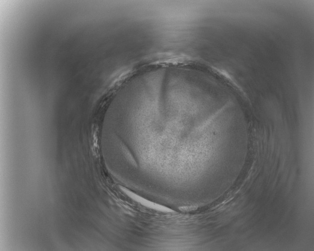 X0000058121399200510071927