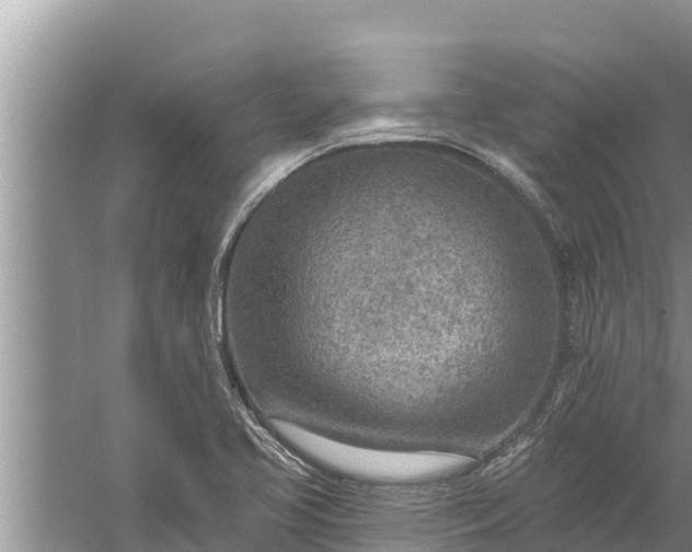 X0000058121413200510071927