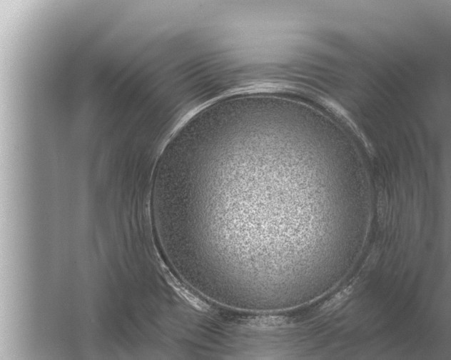 X0000058121417200510071927