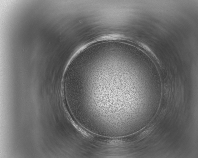 X0000058121421200510071927