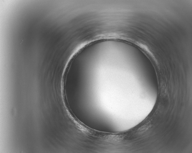 X0000058121424200510071927