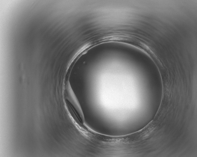 X0000058121426200510071927