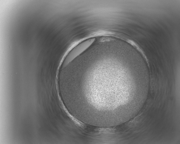 X0000058121429200510071927