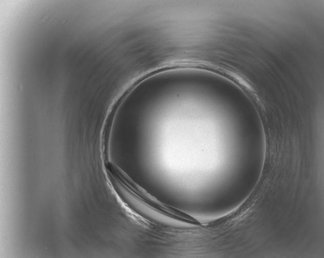 X0000058121430200510071927