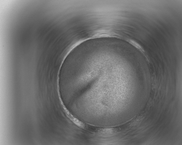 X0000058121431200510071927