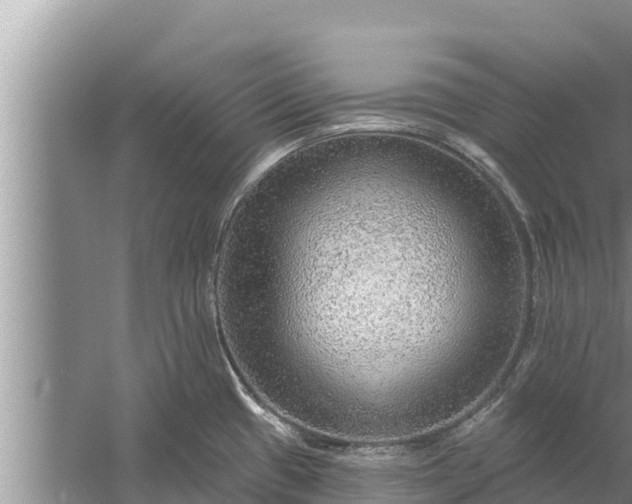 X0000058121433200510071928