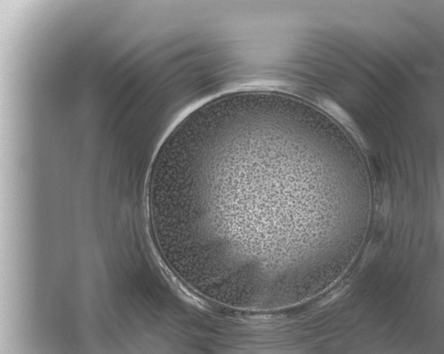 X0000058121436200510071928