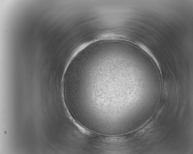 X0000058121437200510071928