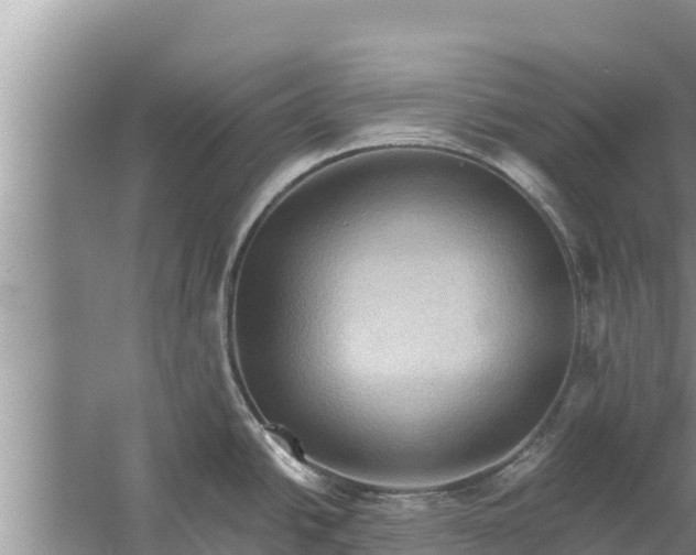 X0000058121438200510071928