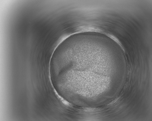 X0000058121439200510071928