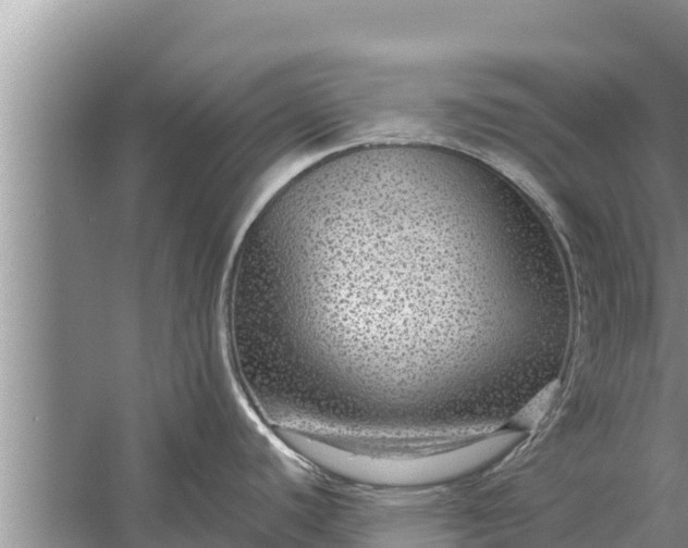 X0000058121440200510071928