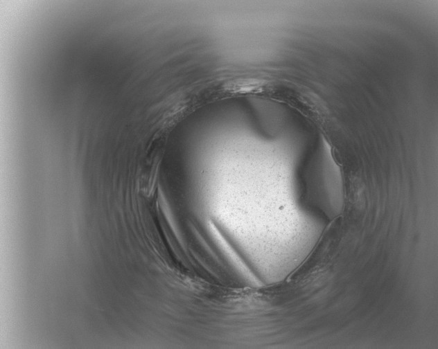 X0000058121442200510071927