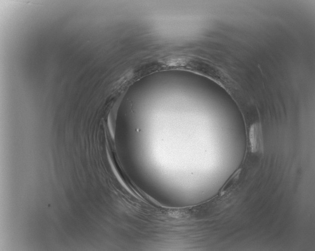 X0000058121443200510071927