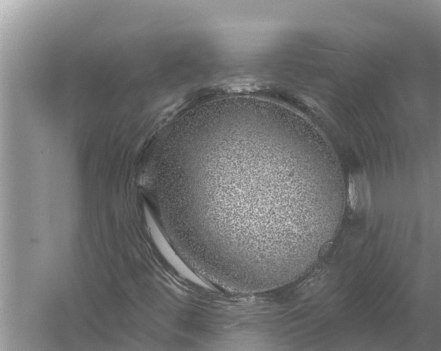 X0000058121444200510071927