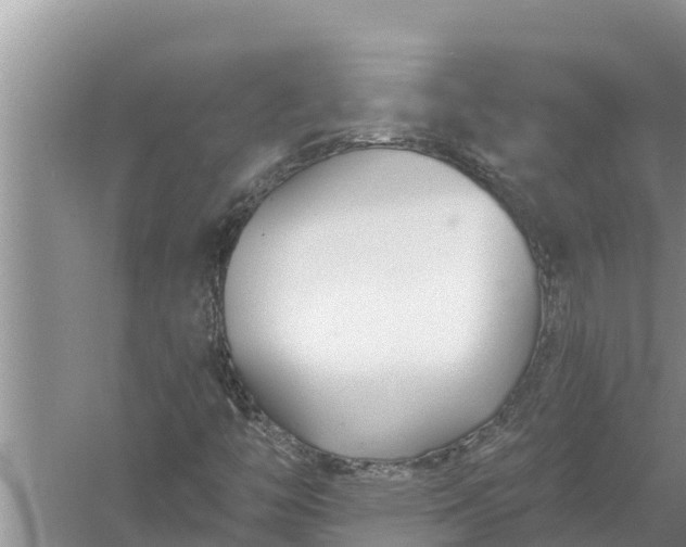 X0000058121446200510071927