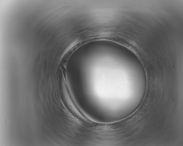 X0000058121450200510071927