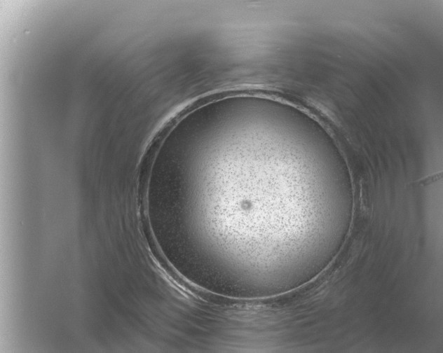 X0000058121452200510071927