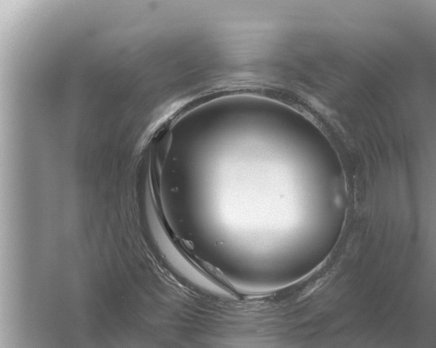 X0000058121453200510071927