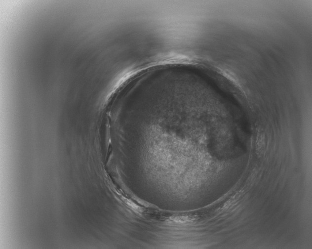 X0000058121455200510071927