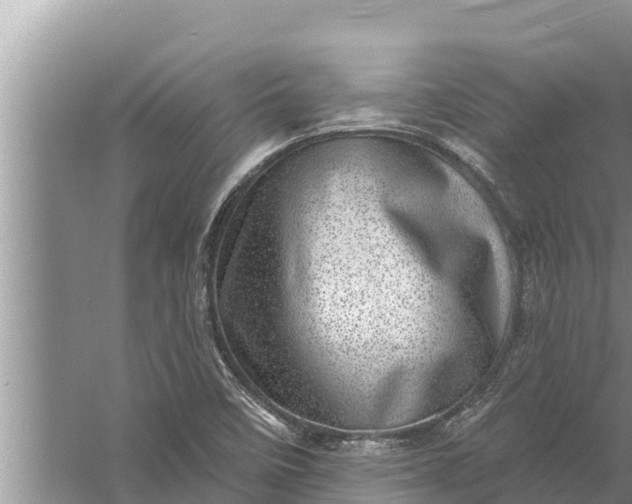 X0000058121458200510071927