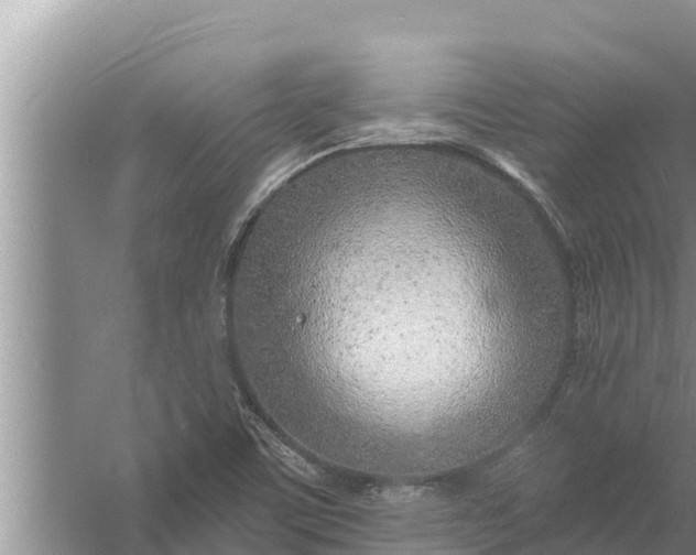 X0000058121459200510071927