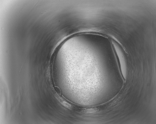 X0000058121460200510071926