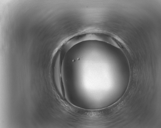 X0000058121461200510071926