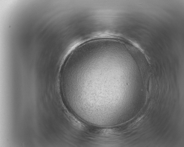 X0000058121463200510071926