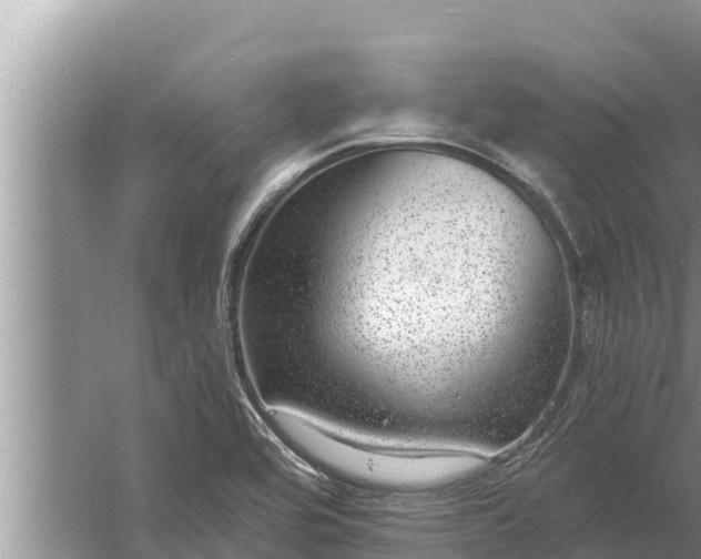 X0000058121464200510071926