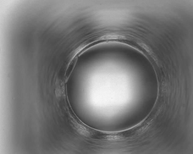 X0000058121465200510071926